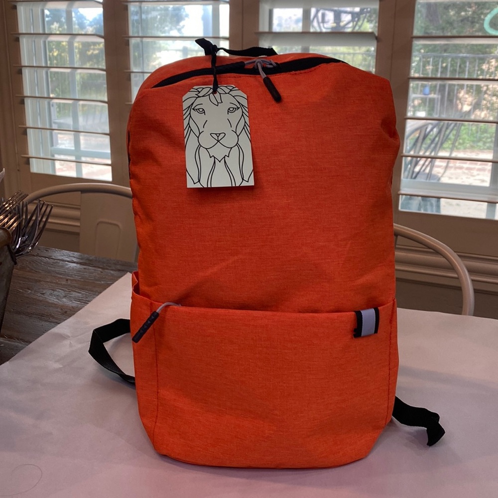 Small & Simple Very Lightweight Backpack Bag for Student & Commuter - Picture 2 of 11